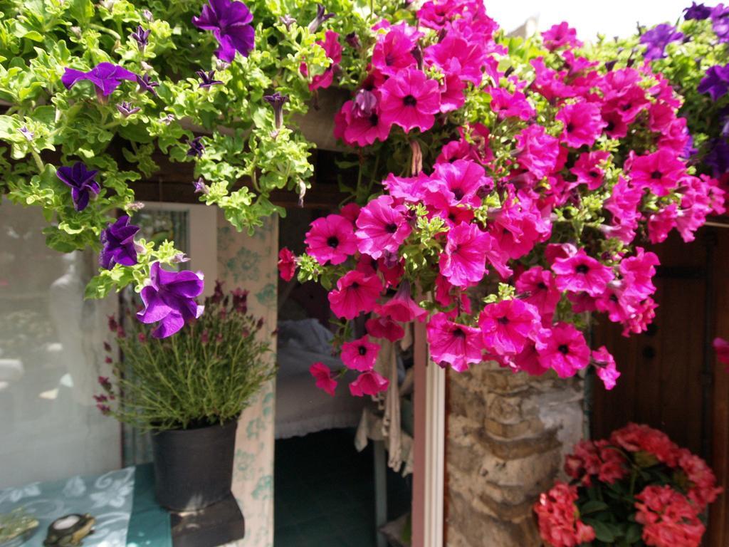 Le Petit Chateau Bed & Breakfast Dolceacqua Exterior foto